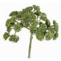 Plastové sedum DANICA, zelené, 20cm, Ø10cm