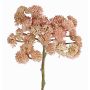 Plastové sedum DANICA, růžové, 20cm, Ø10cm
