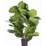 Umělý Ficus lyrata RHYS, pro interiér i exteriér, zelený, 70cm