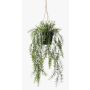 Art Asparagus sprengeri ANDRES závěsný koš v ozdobném květináči, 50cm