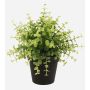 Umělý eukalyptus YANIS, zelený, 20cm