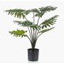 Umělý filodendron Selloum FRIO, 60cm