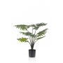 Umělý filodendron Selloum FRIO, 60cm