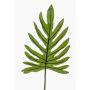 Umělý list Philodendron Selloum GINO, 100cm