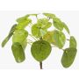 Umělá květina pilea SYBIL na zápichu, zelený, 13cm