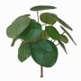 Umělá květina pilea SYBIL na zápichu, zelený, 20cm