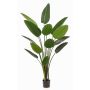 Umělá rostlina Strelitzia PAVLOVA, zelená, 190cm