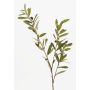Umělá olivová ratolest PARKER s plody, 80cm