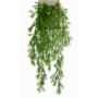 Věšák Art Asparagus sprengeri COLE, hůl, 75cm
