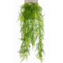 Věšák Art Asparagus plumosus COLE, tyčinka, 80cm