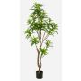 Umělý stromek Dracaena OSAKA, zelený, 155cm