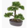 Umělý bonsai cedr BERTOLT v misce, 30cm