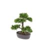 Umělý bonsai cedr BERTOLT v misce, 30cm