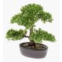 Umělý bonsai Ficus HESPER v misce, 30cm