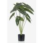 Umělá Alocasia Sanderiana FIORELLA, zelená, 80cm