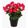 Umělá begonia DOBRADA, růžová, 30cm, Ø8-10cm