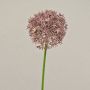 Umělé Allium ARNAU, růžové, 60cm, Ø10cm