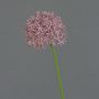 Umělé Allium ARNAU, fialové, 60cm, Ø10cm