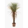 Umělá Yucca FORMOSA, 110 cm
