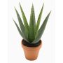 Umělá aloe variegata MARTINEZ, hliněný květináč, zelená barva, 30cm, Ø17cm