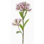 Umělý karafiát ARCHIE, krémově růžový, krémovo-fuchsiový, 60cm, Ø8-14cm