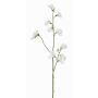 Umělá květina Lathyrus ASFALOTH, bílá, 65cm, Ø3-5cm