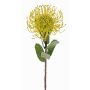 Umělá Protea BAILY, žluto-zelená, 55cm, Ø10cm