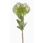 Umělá Protea BAILY, zelená, 55cm, Ø10cm