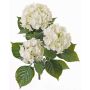 Umělá hortenzie SAIRA, zápich, pro interiér i exteriér, krémová, 40cm, Ø11-13cm