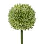 Dekorativní květ Allium MENKES, zelený, 65cm