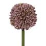 Dekorativní květ Allium MENKES, lila, 65cm