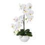 Plastová květina orchidej Phalaenopsis KASDA, keramický květináč, kořeny, bílá, 50cm