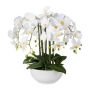 Plastová květina orchidej Phalaenopsis KASDA, keramický květináč, kořeny, bílá, 55cm