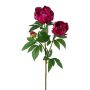 Dekorativní větev pivoňky SLORVE, cerise, 70cm