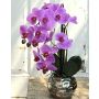 Umělá orchidej Phalaenopsis EMILIA, květináč, růžová, 45cm