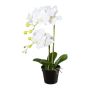 Plastová květina orchidej Phalaenopsis WENJAN, dekorativní květináč, kořeny, bílá, 55cm
