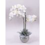 Umělá orchidej Phalaenopsis KAREN, dekorativní květináč, zmrzlá, bílá, 60cm