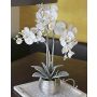 Umělá orchidej Phalaenopsis KAREN, dekorativní květináč, zmrzlá, bílá, 60cm