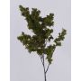Umělá vrbová větvička LOTTIKA s mechem, zelená, 75cm