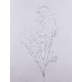 Dekorativní vrbová větvička DONATELLA, stříbrná, 95cm