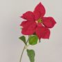Sametová poinsettie LIBASSE, červená, 65cm