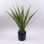 Umělá agáve furcraea gigantea CHERIE, zeleno-šedá, 80cm