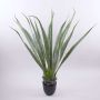 Umělá Agave furcraea gigantea CHERIE, zeleno-šedá, 100cm