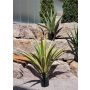 Umělá Agave furcraea gigantea CHERIE, zelenošedá, 120cm