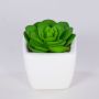 Dekorativní Echeveria elegans KATNISS, keramický květináč, zelený, 6cm