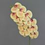 Umělá větev orchideje Phalaenopsis XURI, světle žluto-fuchsiová, 100cm