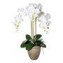 Textilní orchidej Phalaenopsis FRIMTOR v terakotovém květináči, kořeny, bílá, 75cm
