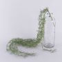 Art Tillandsia Usneoides CEVIN, tyčinka, zelená, 100cm