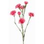 Umělá větev karafiátu PIARA, fuchsiová, 60cm, Ø3-5cm