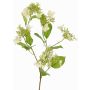 Dekorativní hortenzie KATHANI, bílo-zelená, 80cm, Ø10-13cm